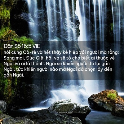 Picture 02 - Dân Số 16:5 VIE - nói cùng Cô-rê và hết thảy kẻ hiệp - Bible Verse Picture
