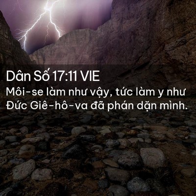 Picture 02 - Dân Số 17:11 VIE - Môi-se làm như vậy, tức làm y như Đức - Bible Verse Picture