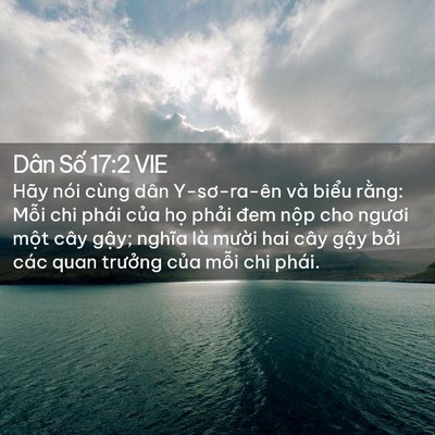 Picture 02 - Dân Số 17:2 VIE - Hãy nói cùng dân Y-sơ-ra-ên và biểu - Bible Verse Picture