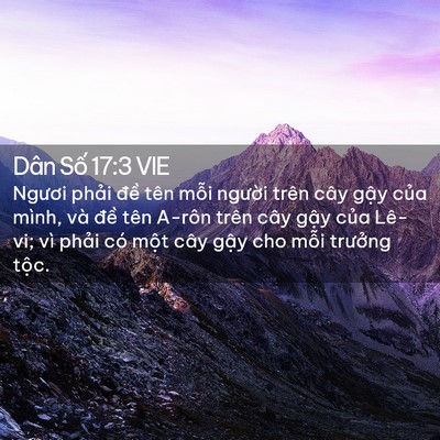 Picture 02 - Dân Số 17:3 VIE - Ngươi phải đề tên mỗi người trên - Bible Verse Picture