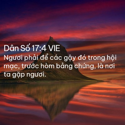 Picture 02 - Dân Số 17:4 VIE - Ngươi phải để các gậy đó trong hội - Bible Verse Picture