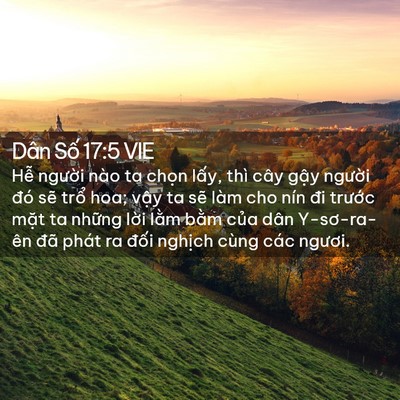 Picture 02 - Dân Số 17:5 VIE - Hễ người nào ta chọn lấy, thì cây - Bible Verse Picture