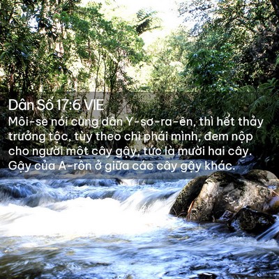 Picture 02 - Dân Số 17:6 VIE - Môi-se nói cùng dân Y-sơ-ra-ên, thì hết - Bible Verse Picture
