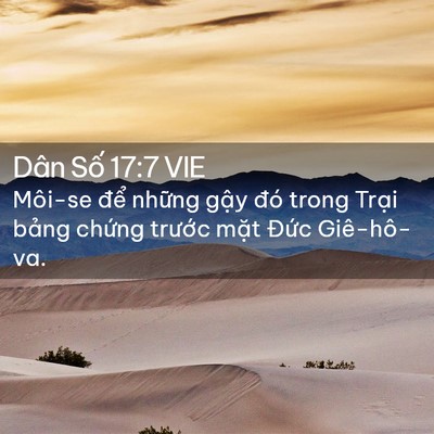 Picture 02 - Dân Số 17:7 VIE - Môi-se để những gậy đó trong Trại - Bible Verse Picture