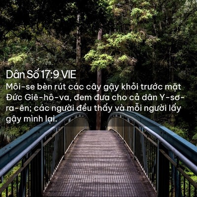 Picture 02 - Dân Số 17:9 VIE - Môi-se bèn rút các cây gậy khỏi trước - Bible Verse Picture