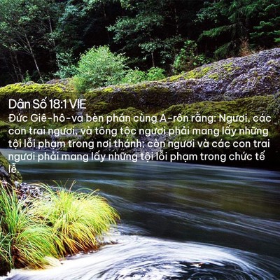 Picture 02 - Dân Số 18:1 VIE - Đức Giê-hô-va bèn phán cùng A-rôn - Bible Verse Picture