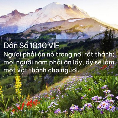 Picture 02 - Dân Số 18:10 VIE - Ngươi phải ăn nó trong nơi rất thánh; - Bible Verse Picture
