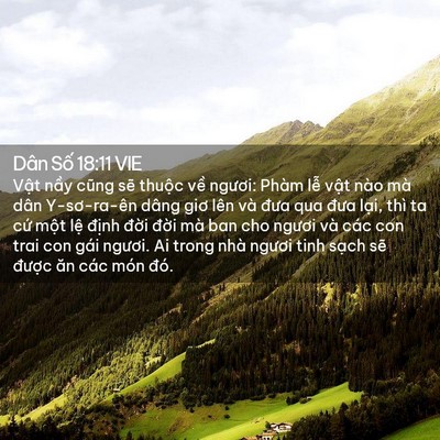 Picture 02 - Dân Số 18:11 VIE - Vật nầy cũng sẽ thuộc về ngươi: - Bible Verse Picture