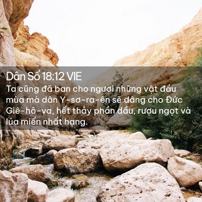 Picture 02 - Dân Số 18:12 VIE - Ta cũng đã ban cho ngươi những vật - Bible Verse Picture