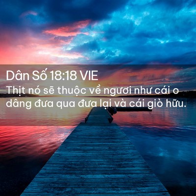 Picture 02 - Dân Số 18:18 VIE - Thịt nó sẽ thuộc về ngươi như cái o - Bible Verse Picture