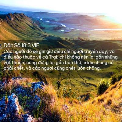 Picture 02 - Dân Số 18:3 VIE - Các người đó sẽ gìn giữ điều chi - Bible Verse Picture