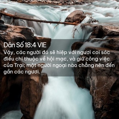 Picture 02 - Dân Số 18:4 VIE - Vậy, các người đó sẽ hiệp với - Bible Verse Picture
