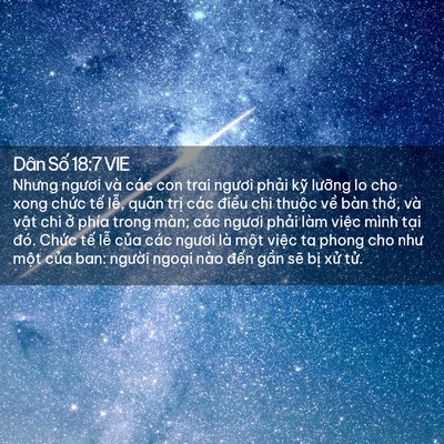 Picture 02 - Dân Số 18:7 VIE - Nhưng ngươi và các con trai ngươi phải - Bible Verse Picture