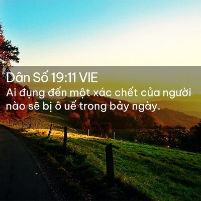 Picture 02 - Dân Số 19:11 VIE - Ai đụng đến một xác chết của - Bible Verse Picture
