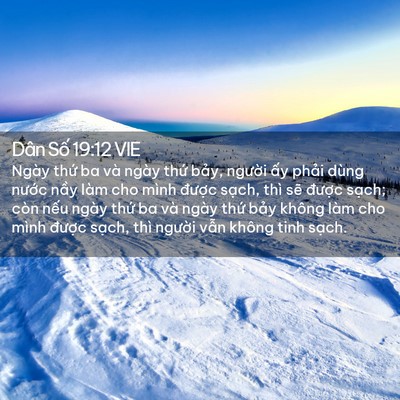 Picture 02 - Dân Số 19:12 VIE - Ngày thứ ba và ngày thứ bảy, người - Bible Verse Picture