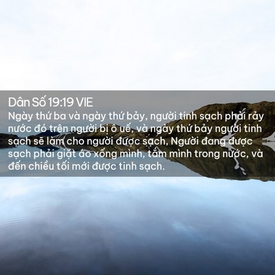 Picture 02 - Dân Số 19:19 VIE - Ngày thứ ba và ngày thứ bảy, người - Bible Verse Picture