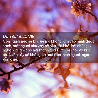Picture 02 - Dân Số 19:20 VIE - Còn người nào sẽ bị ô uế mà không - Bible Verse Picture