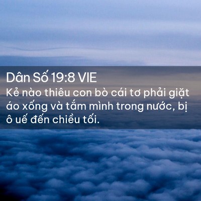 Picture 02 - Dân Số 19:8 VIE - Kẻ nào thiêu con bò cái tơ phải giặt - Bible Verse Picture