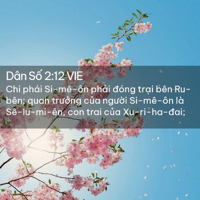 Picture 02 - Dân Số 2:12 VIE - Chi phái Si-mê-ôn phải đóng trại bên - Bible Verse Picture