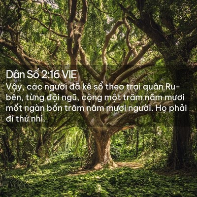 Picture 02 - Dân Số 2:16 VIE - Vậy, các người đã kê sổ theo trại - Bible Verse Picture