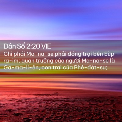 Picture 02 - Dân Số 2:20 VIE - Chi phái Ma-na-se phải đóng trại bên - Bible Verse Picture
