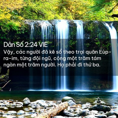 Picture 02 - Dân Số 2:24 VIE - Vậy, các người đã kê sổ theo trại - Bible Verse Picture