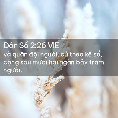 Picture 02 - Dân Số 2:26 VIE - và quân đội người, cứ theo kê sổ, - Bible Verse Picture