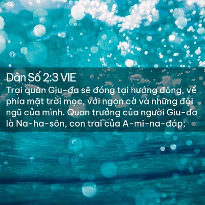 Picture 02 - Dân Số 2:3 VIE - Trại quân Giu-đa sẽ đóng tại hướng - Bible Verse Picture