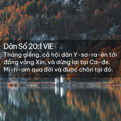 Picture 02 - Dân Số 20:1 VIE - Tháng giêng, cả hội dân Y-sơ-ra-ên tới - Bible Verse Picture