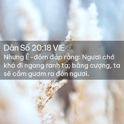 Picture 02 - Dân Số 20:18 VIE - Nhưng Ê-đôm đáp rằng: Ngươi chớ khá - Bible Verse Picture