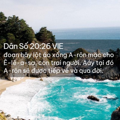 Picture 02 - Dân Số 20:26 VIE - đoạn hãy lột áo xống A-rôn mặc cho - Bible Verse Picture