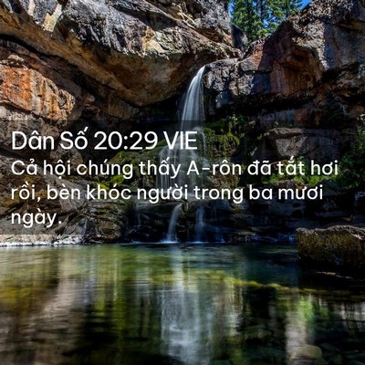 Picture 02 - Dân Số 20:29 VIE - Cả hội chúng thấy A-rôn đã tắt hơi - Bible Verse Picture