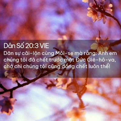 Picture 02 - Dân Số 20:3 VIE - Dân sự cãi-lộn cùng Môi-se mà rằng: - Bible Verse Picture