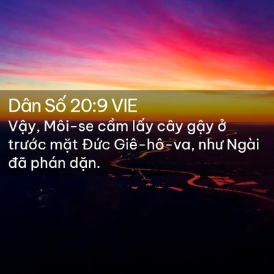 Picture 02 - Dân Số 20:9 VIE - Vậy, Môi-se cầm lấy cây gậy ở - Bible Verse Picture