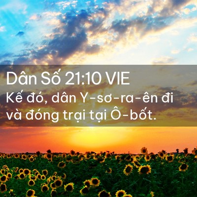 Picture 02 - Dân Số 21:10 VIE - Kế đó, dân Y-sơ-ra-ên đi và đóng - Bible Verse Picture
