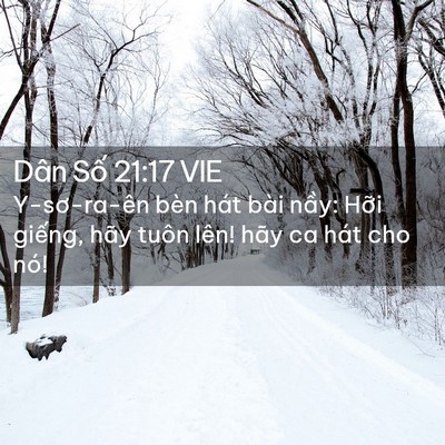 Picture 02 - Dân Số 21:17 VIE - Y-sơ-ra-ên bèn hát bài nầy: Hỡi giếng, - Bible Verse Picture