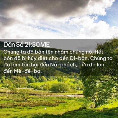 Picture 02 - Dân Số 21:30 VIE - Chúng ta đã bắn tên nhằm chúng nó. - Bible Verse Picture