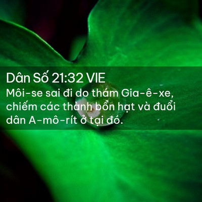 Picture 02 - Dân Số 21:32 VIE - Môi-se sai đi do thám Gia-ê-xe, chiếm các - Bible Verse Picture