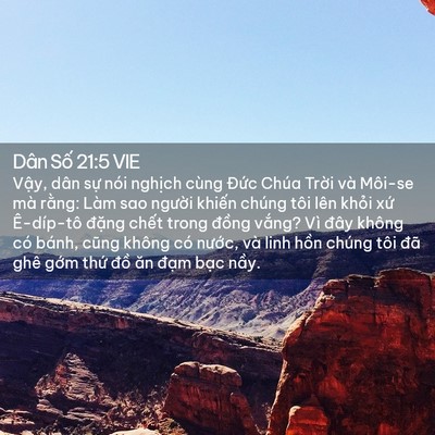 Picture 02 - Dân Số 21:5 VIE - Vậy, dân sự nói nghịch cùng Đức Chúa - Bible Verse Picture