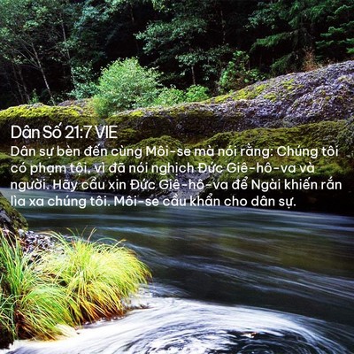 Picture 02 - Dân Số 21:7 VIE - Dân sự bèn đến cùng Môi-se mà nói - Bible Verse Picture