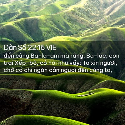 Picture 02 - Dân Số 22:16 VIE - đến cùng Ba-la-am mà rằng: Ba-lác, con - Bible Verse Picture