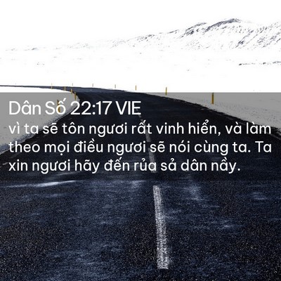 Picture 02 - Dân Số 22:17 VIE - vì ta sẽ tôn ngươi rất vinh hiển, và - Bible Verse Picture