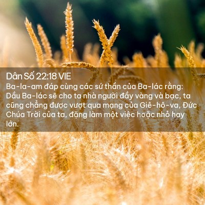 Picture 02 - Dân Số 22:18 VIE - Ba-la-am đáp cùng các sứ thần của - Bible Verse Picture