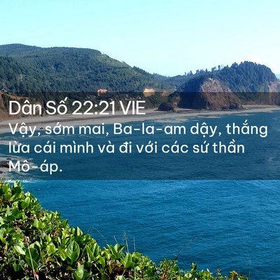 Picture 02 - Dân Số 22:21 VIE - Vậy, sớm mai, Ba-la-am dậy, thắng lừa - Bible Verse Picture