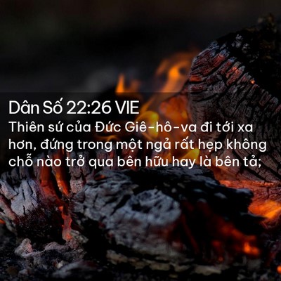 Picture 02 - Dân Số 22:26 VIE - Thiên sứ của Đức Giê-hô-va đi tới xa - Bible Verse Picture