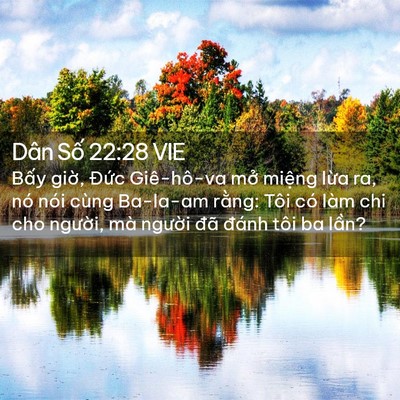 Picture 02 - Dân Số 22:28 VIE - Bấy giờ, Đức Giê-hô-va mở miệng - Bible Verse Picture
