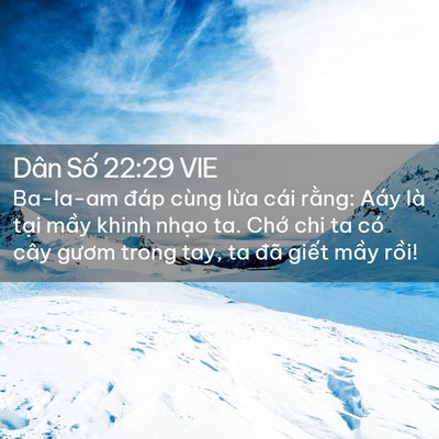 Picture 02 - Dân Số 22:29 VIE - Ba-la-am đáp cùng lừa cái rằng: Aáy là - Bible Verse Picture