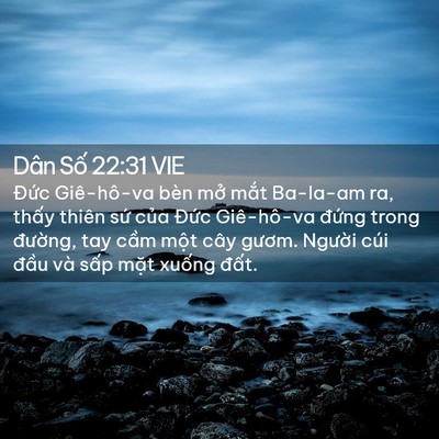 Picture 02 - Dân Số 22:31 VIE - Đức Giê-hô-va bèn mở mắt Ba-la-am ra, - Bible Verse Picture