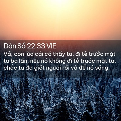 Picture 02 - Dân Số 22:33 VIE - Vả, con lừa cái có thấy ta, đi tẻ - Bible Verse Picture