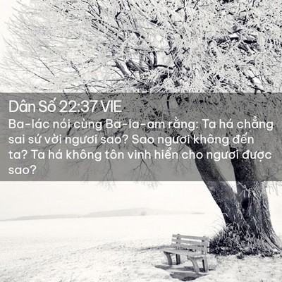 Picture 02 - Dân Số 22:37 VIE - Ba-lác nói cùng Ba-la-am rằng: Ta há - Bible Verse Picture